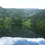 Les Myrtilles