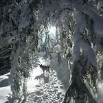 Les Myrtilles Дом отдыха