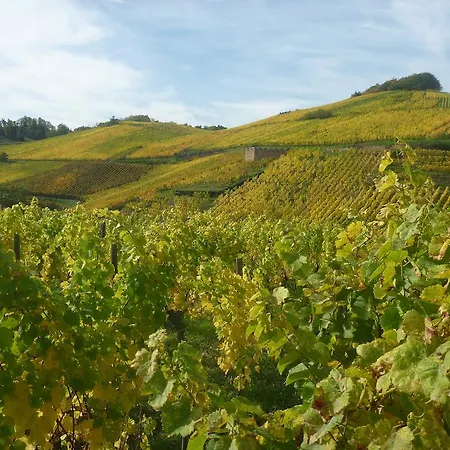 度假居 蓝莓度假屋