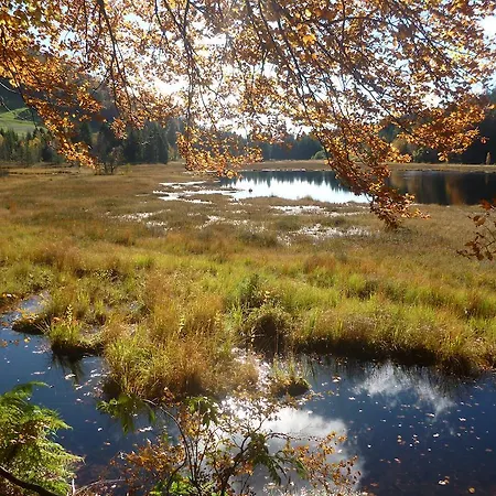 蓝莓度假屋 勒伯恩霍姆